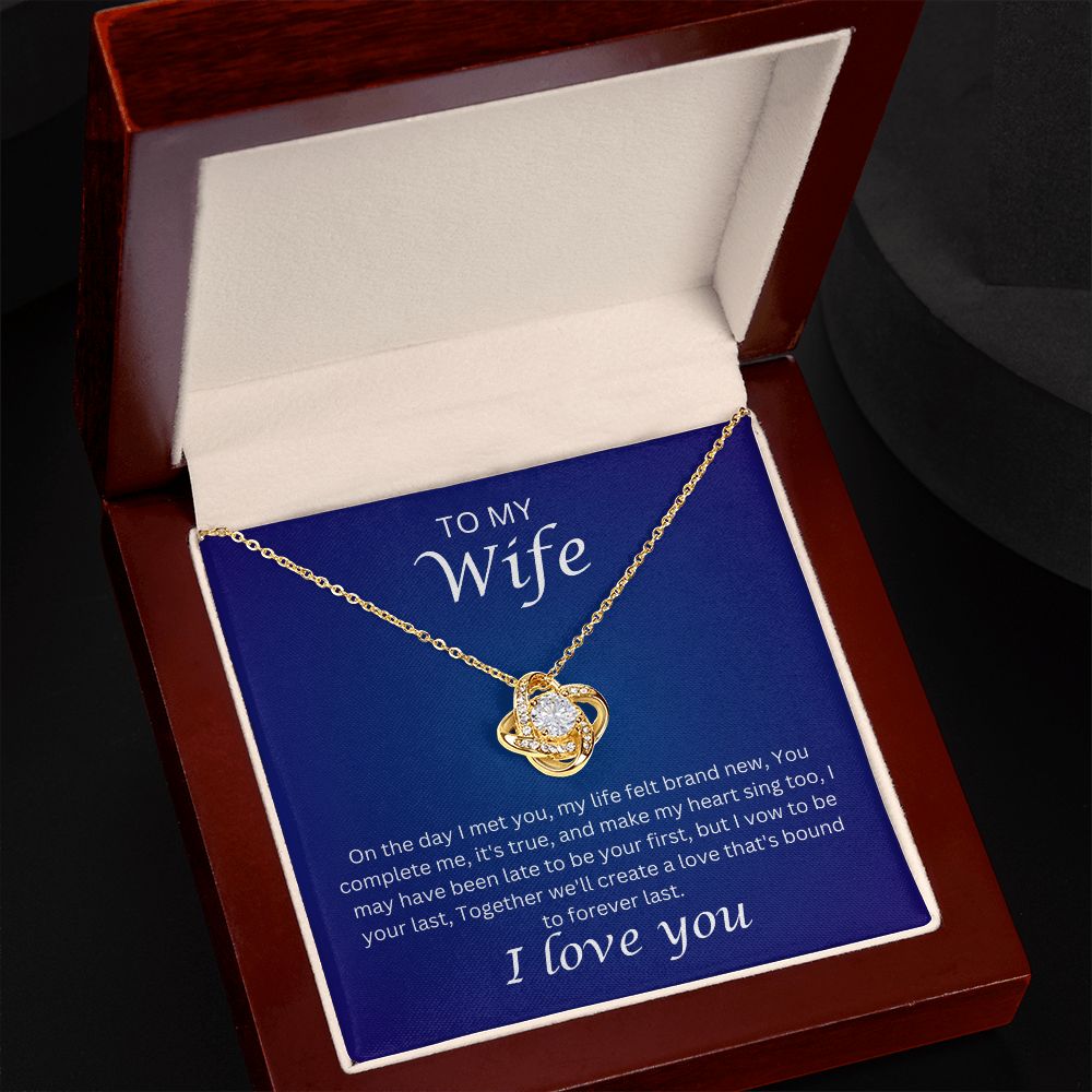 To my Wife - the day I met you (Love Knot necklace)