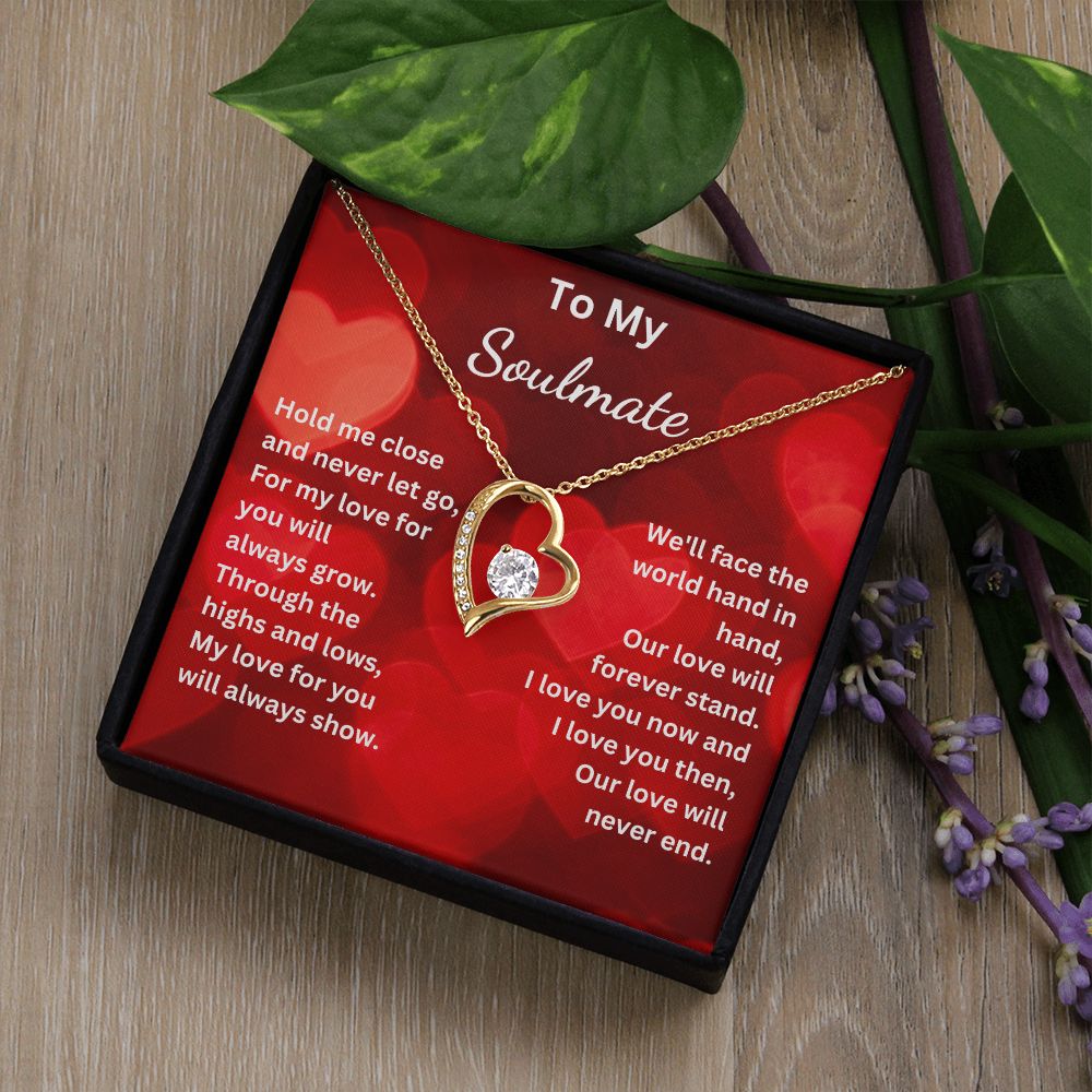 To My Soulmate - Hold me close and never let go (Forever Love necklace)
