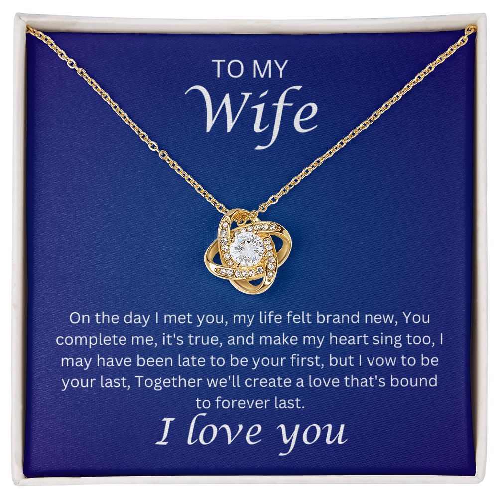 To my Wife - the day I met you (Love Knot necklace)