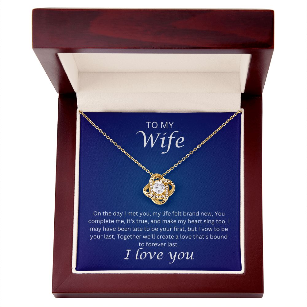 To my Wife - the day I met you (Love Knot necklace)