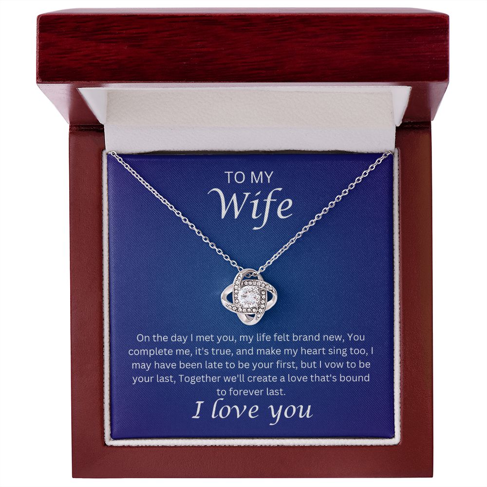 To my Wife - the day I met you (Love Knot necklace)